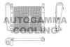 AUTOGAMMA 100296 Radiator, engine cooling